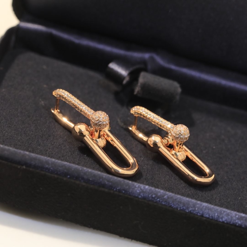 T*f*ny earrings